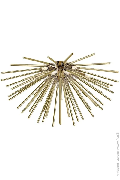  Zuma Line URCHIN C0491-06B-F7DY
