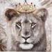       100x100  BD23C057BF-1