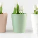    1,6   (DH-FLOWERS-29 GREEN)