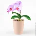    1,6   (DH-FLOWERS-29 PINK)