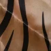   200x220
