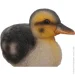 -      20x11x12  MGH0278
