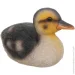 -      20x11x12  MGH0278