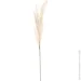   2  120  SDBFY26X (GOLD)