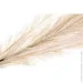    2  120  SDBFY26X (GOLD)