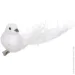     2 . 16  EPI-D103142-white