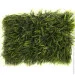       50x65  HONGYE E308-0184