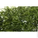       50x65  HONGYE E308-0184