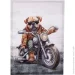        50x70  BD23A226BW-1