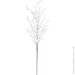       58  RS1Z2243-58CM