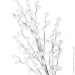       58  RS1Z2243-58CM