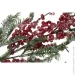      77 . EYC21025