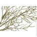       85  EPI-EYK13A0009-3 B#1