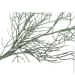       85  EPI-EYK13A0009-3 B#1