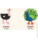    . Birds 978-617-679-312-0