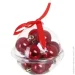    CAN300120  d 30  12 ./.