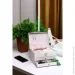    Chic 231713 