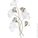    Clover 58,4x104,8  -