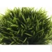     Fleur 614     