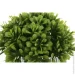     Fleur 91012     