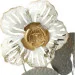    Flowers 165x69  