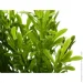      HONGYE A5-03564#