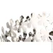  Inari Silver Flowers 36x36x15 