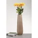   Light 59,5   YZ04739LA-1