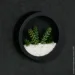    Nature  20x20  