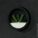    Nature  20x20  