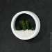    Nature  20x20  