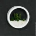    Nature  20x20  