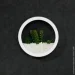    Nature  20x20  