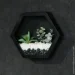    Nature  23x20  