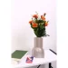   Nersin 20,5  DLP23132EE