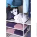    PEVA 17301070450  