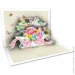   POP-UP  3D-    