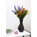   Seray 25  DLP23329B