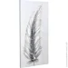  Silver feather first 50x100 