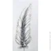  Silver feather first 50x100 
