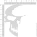   Skull