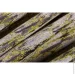  TC 3DX660-7 200280  -  