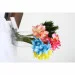   Tyra Trend Glass 19  