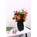   Yinsy 15  DLP23364B