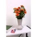   Zulma 18  DLP23389P