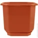 Алеана Горшок пластиковый Дама квадратный 0,8 л терракот (112027) Алеана Горшок пластиковый Дама квадратный 0,8 л терракот (112027)