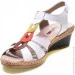    24pfm .41  (069562-41)