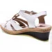    24pfm .41  (069562-41)