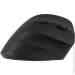  2E MF325 Silent Black (2E-MF325WBK)