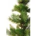    " " , 2  (E70620)